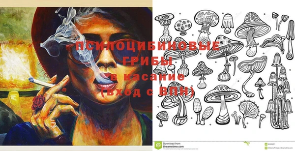 ГАЛЛЮЦИНОГЕННЫЕ ГРИБЫ Заволжье
