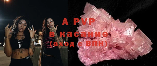 ГАЛЛЮЦИНОГЕННЫЕ ГРИБЫ Заволжье