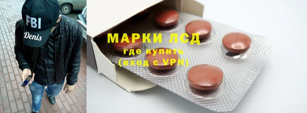 ГАЛЛЮЦИНОГЕННЫЕ ГРИБЫ Заволжье