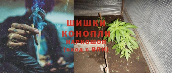 ГАЛЛЮЦИНОГЕННЫЕ ГРИБЫ Заволжье
