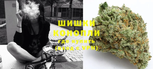 ГАЛЛЮЦИНОГЕННЫЕ ГРИБЫ Заволжье