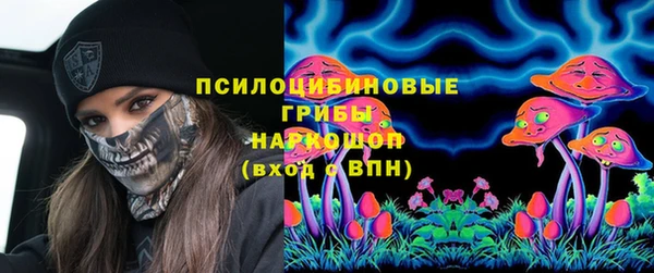 сатива Заводоуковск