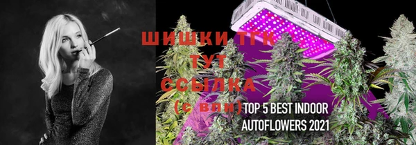 гашик Снежинск
