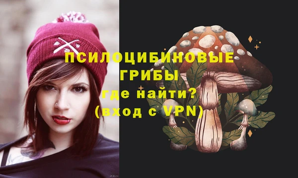 сатива Заводоуковск