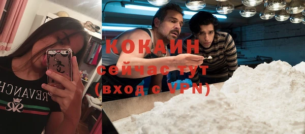 сатива Заводоуковск