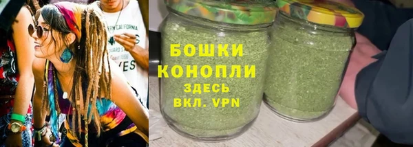 сатива Заводоуковск