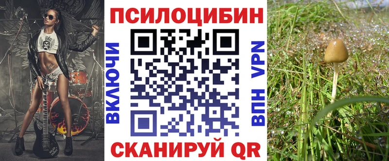 даркнет телеграм  Теберда  Псилоцибиновые грибы ЛСД 